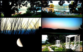 Отель Pensiunea Casa Mircea & Restaurant  Эселнита